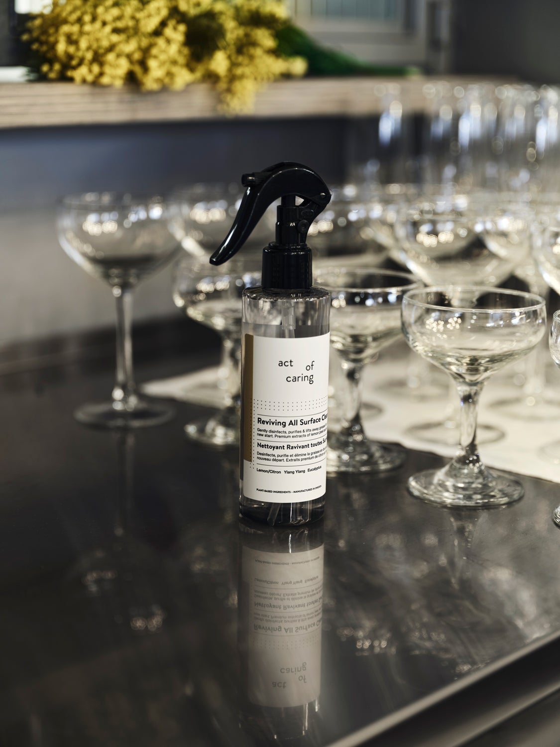 Acy-of-Caring-All-Surface-Cleanser-Lifestyle