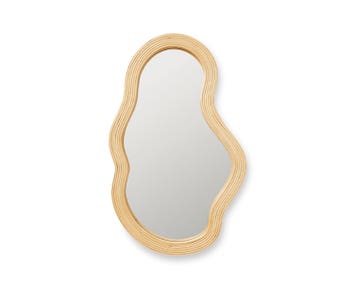 Pond Spegel i rotting