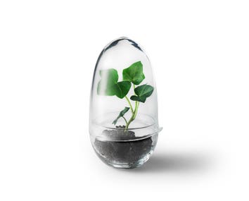 Grow-Greenhouse-Small